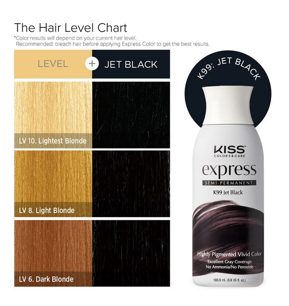 Kiss Express Semi-Permanent Hair Color 3.5 US fl. oz.