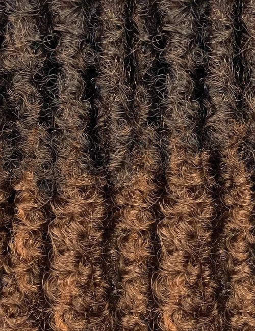Outre Synthetic Braiding Hair X-PRESSION SPRINGY AFRO TWIST 16"