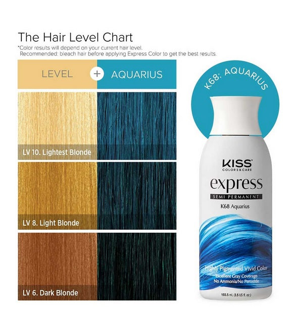 Kiss Express Semi-Permanent Hair Color 3.5 US fl. oz.