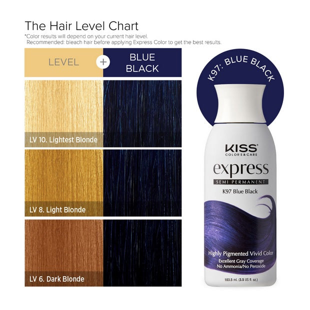 Kiss Express Semi-Permanent Hair Color 3.5 US fl. oz.