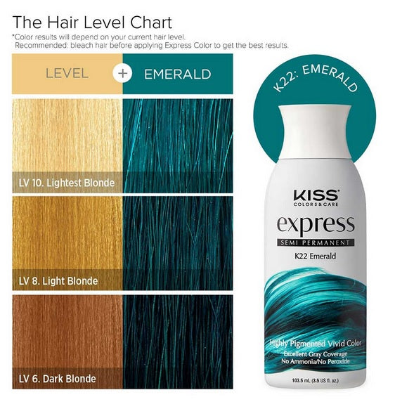 Kiss Express Semi-Permanent Hair Color 3.5 US fl. oz.