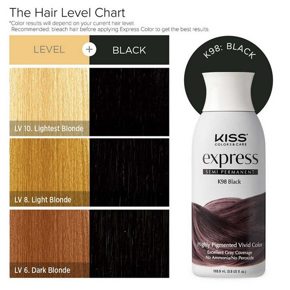 Kiss Express Semi-Permanent Hair Color 3.5 US fl. oz.